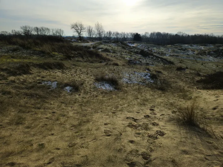 Oostnieuwkerke duinen wandeling in de koude (België)